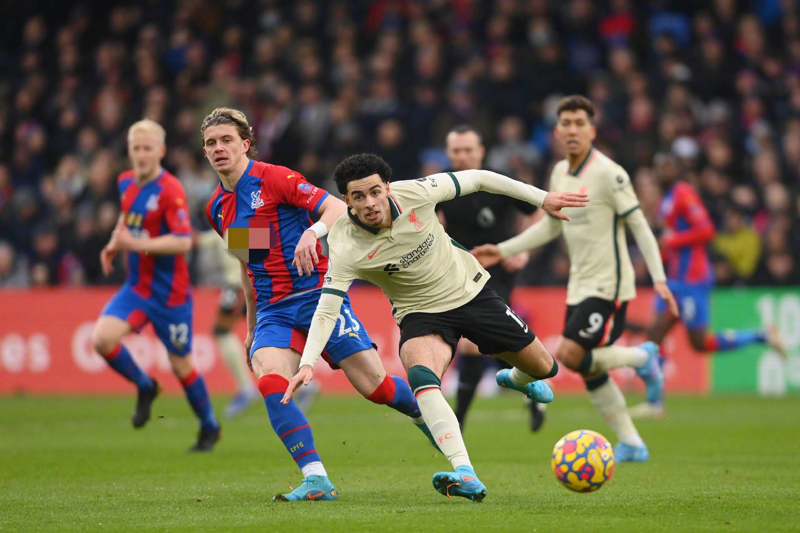 期队友的助 期队友的助