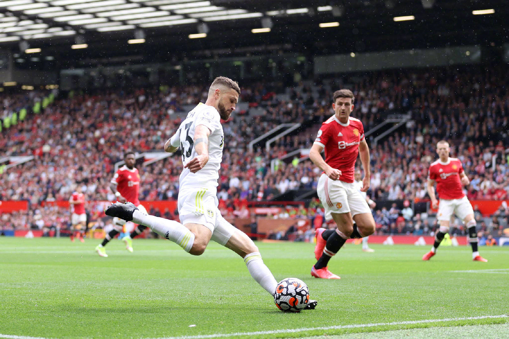 组织配合 组织配合