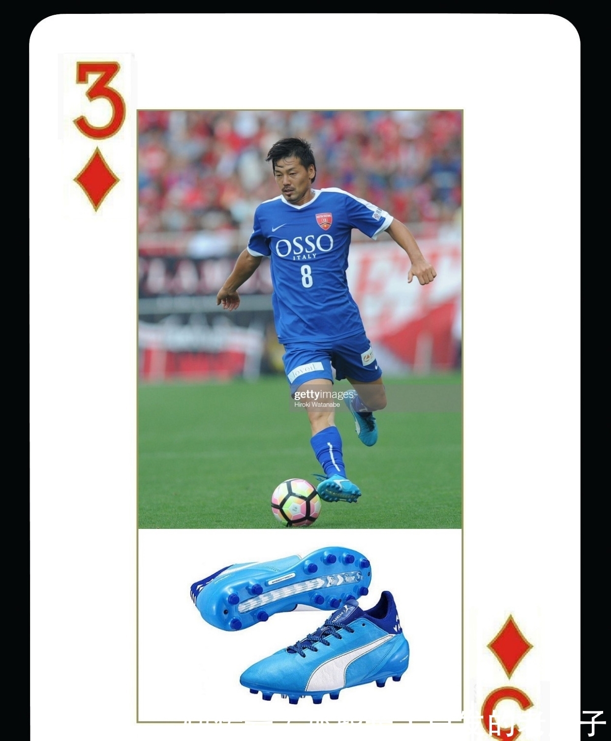 高与臂展进 高与臂展进